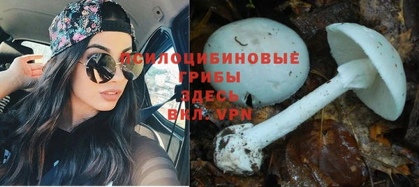 мдпв Тутаев