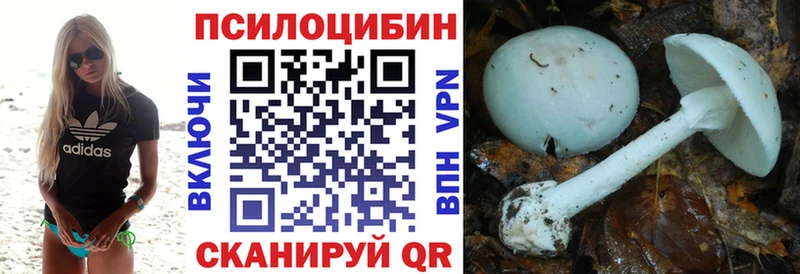 Псилоцибиновые грибы прущие грибы Безенчук